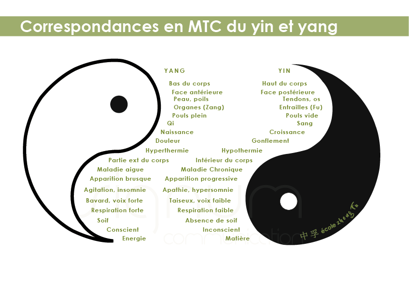 Taiji-Yin-Yang-Ecole-Medecine-Chinoise-mtc