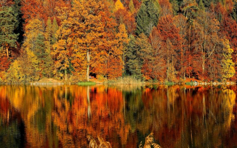 Automne