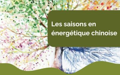 Les saisons en énergétique chinoise : équilibre et harmonie selon la Méthode Zhong Fu