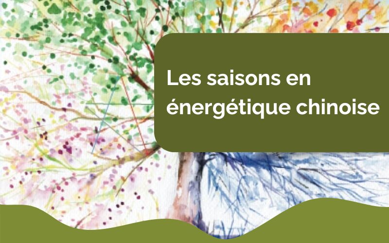 saisons-energetique-chinoise